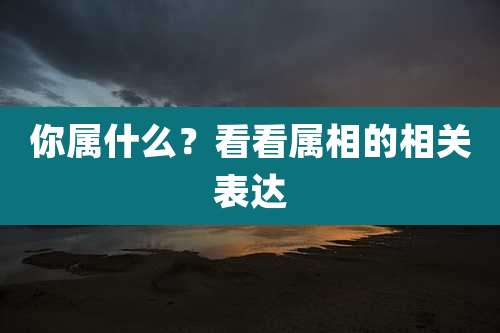 你属什么？看看属相的相关表达