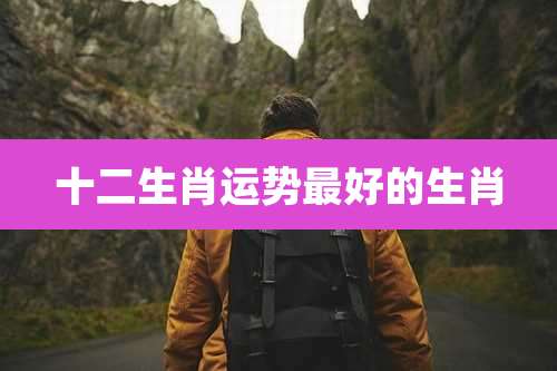 十二生肖运势最好的生肖