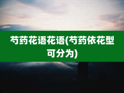 芍药花语花语(芍药依花型可分为)