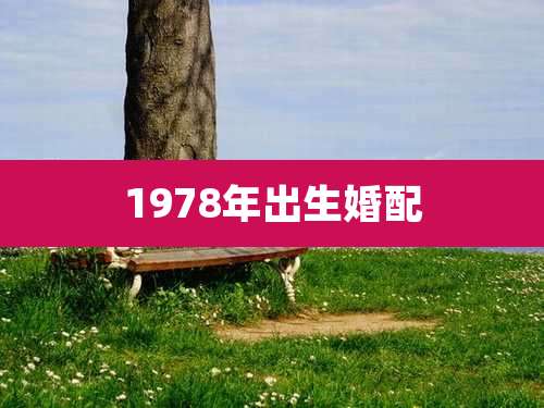 1978年出生婚配