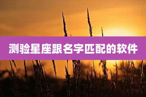 测验星座跟名字匹配的软件