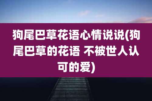 狗尾巴草花语心情说说(狗尾巴草的花语 不被世人认可的爱)