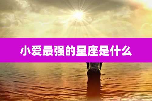 小爱最强的星座是什么