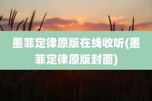 墨菲定律原版在线收听(墨菲定律原版封面)