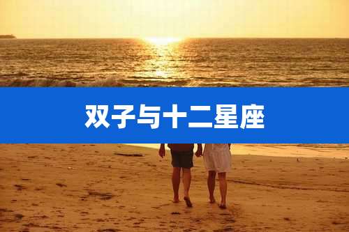 双子与十二星座