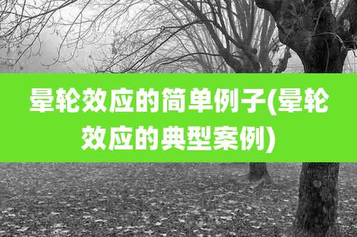 晕轮效应的简单例子(晕轮效应的典型案例)