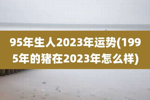 95年生人2023年运势(1995年的猪在2023年怎么样)