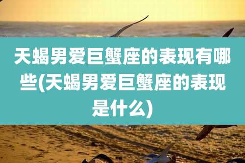 天蝎男爱巨蟹座的表现有哪些(天蝎男爱巨蟹座的表现是什么)