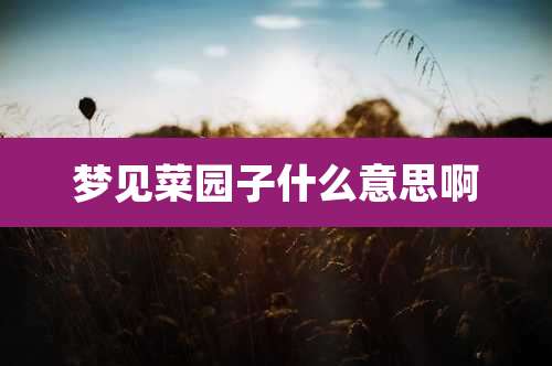 梦见菜园子什么意思啊