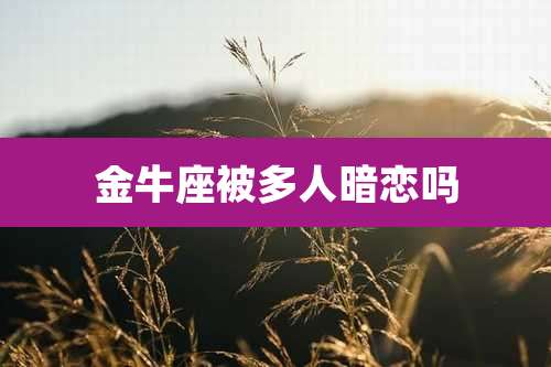 金牛座被多人暗恋吗