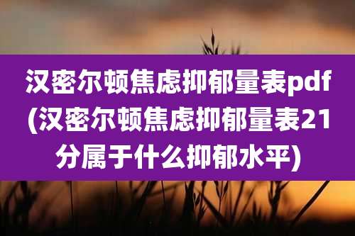 汉密尔顿焦虑抑郁量表pdf(汉密尔顿焦虑抑郁量表21分属于什么抑郁水平)