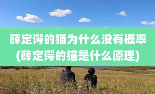 薛定谔的猫为什么没有概率(薛定谔的猫是什么原理)