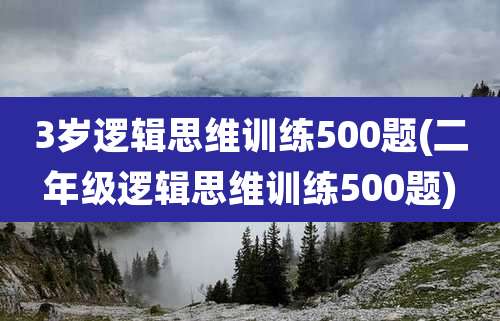 3岁逻辑思维训练500题(二年级逻辑思维训练500题)