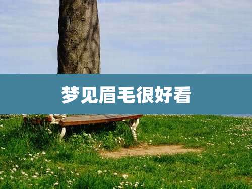 梦见眉毛很好看