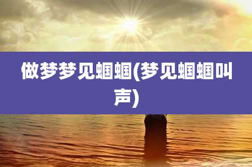 做梦梦见蝈蝈(梦见蝈蝈叫声)