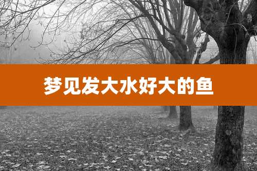 梦见发大水好大的鱼