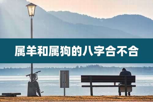 属羊和属狗的八字合不合