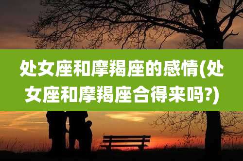 处女座和摩羯座的感情(处女座和摩羯座合得来吗?)