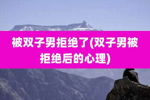 被双子男拒绝了(双子男被拒绝后的心理)