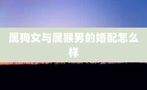 属狗女与属猴男的婚配怎么样