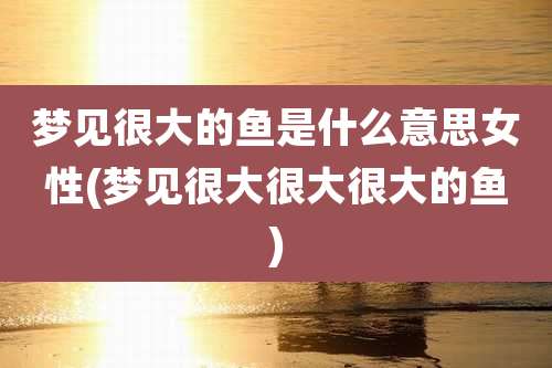 梦见很大的鱼是什么意思女性(梦见很大很大很大的鱼)