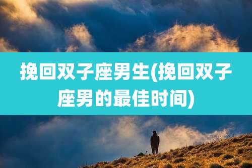 挽回双子座男生(挽回双子座男的最佳时间)