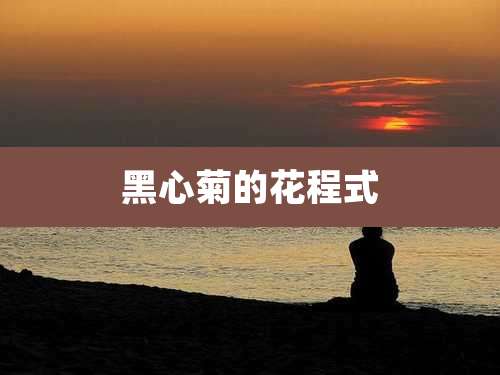黑心菊的花程式