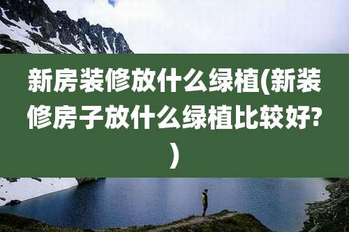 新房装修放什么绿植(新装修房子放什么绿植比较好?)