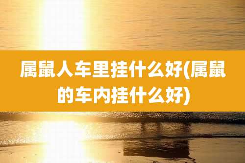 属鼠人车里挂什么好(属鼠的车内挂什么好)