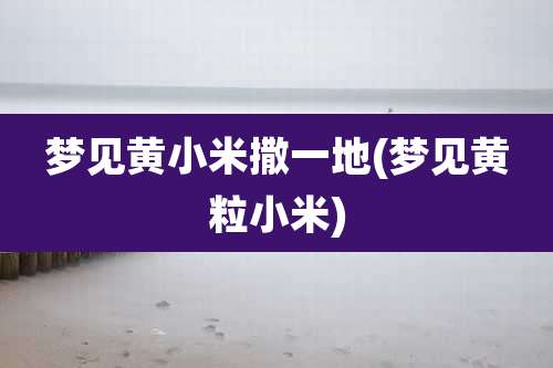 梦见黄小米撒一地(梦见黄粒小米)