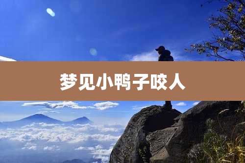 梦见小鸭子咬人