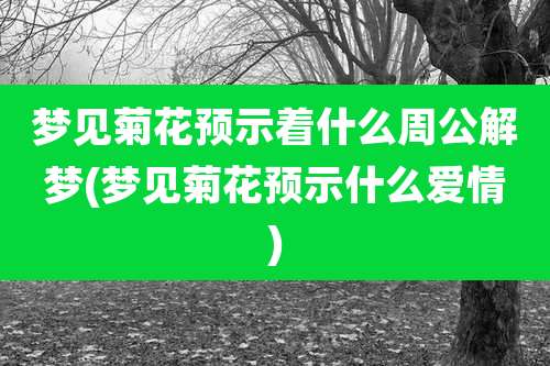 梦见菊花预示着什么周公解梦(梦见菊花预示什么爱情)