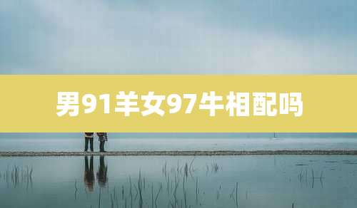 男91羊女97牛相配吗