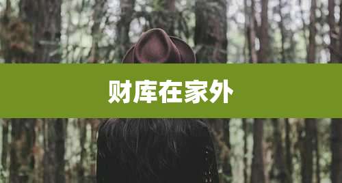 财库在家外