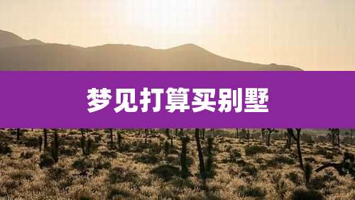 梦见打算买别墅