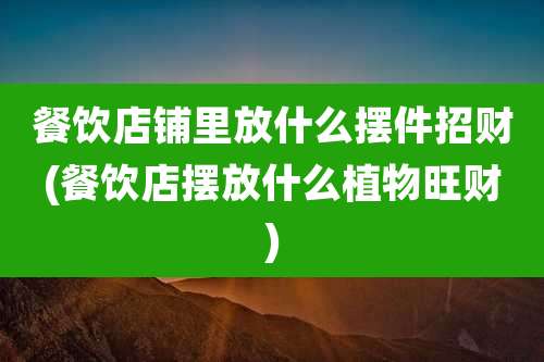 餐饮店铺里放什么摆件招财(餐饮店摆放什么植物旺财)