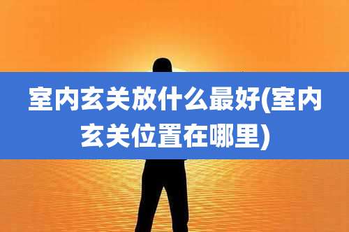 室内玄关放什么最好(室内玄关位置在哪里)