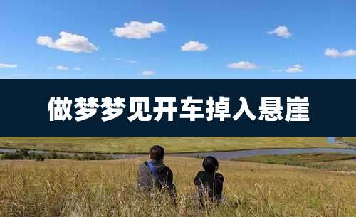 做梦梦见开车掉入悬崖