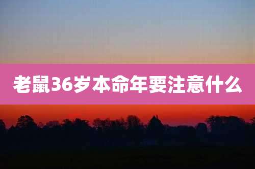 老鼠36岁本命年要注意什么