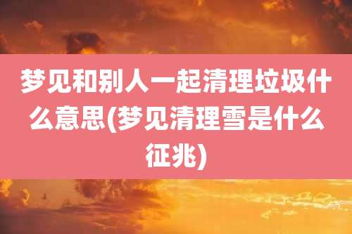 梦见和别人一起清理垃圾什么意思(梦见清理雪是什么征兆)