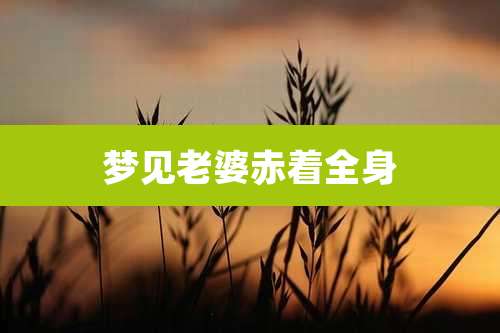 梦见老婆赤着全身