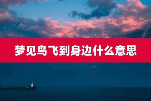 梦见鸟飞到身边什么意思
