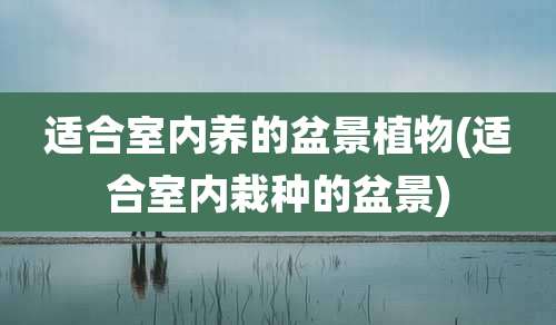 适合室内养的盆景植物(适合室内栽种的盆景)