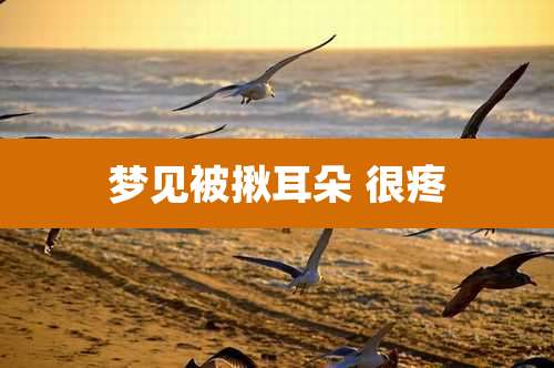 梦见被揪耳朵 很疼