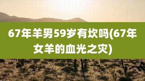 67年羊男59岁有坎吗(67年女羊的血光之灾)