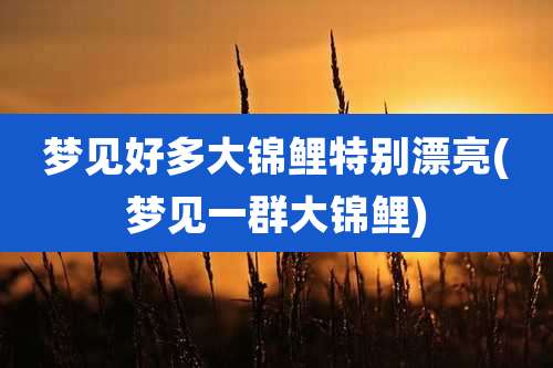 梦见好多大锦鲤特别漂亮(梦见一群大锦鲤)