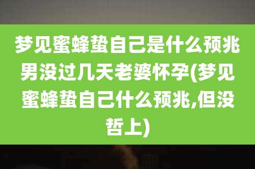 梦见蜜蜂蛰自己是什么预兆男没过几天老婆怀孕(梦见蜜蜂蛰自己什么预兆,但没哲上)