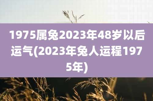 1975属兔2023年48岁以后运气(2023年兔人运程1975年)