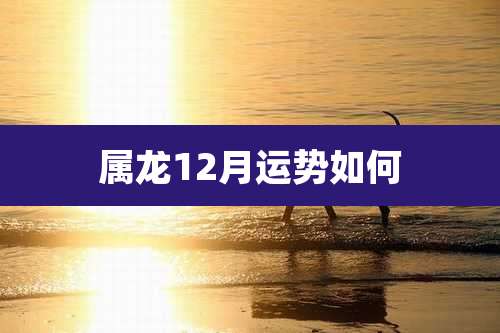 属龙12月运势如何