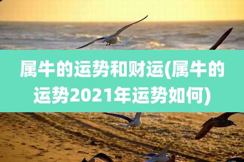 属牛的运势和财运(属牛的运势2021年运势如何)